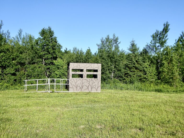 handicap deer stand